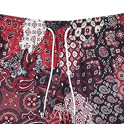 DIOTSR Mens Mesh Paisley Shorts, Casual Retro