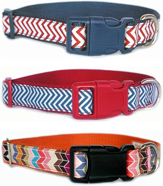 chevron dog collar