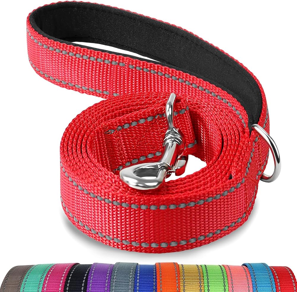 Joytale Padded Handle Dog Lead Double-Sided Reflective Nylon 1.8 m Red