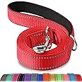 Joytale Double-Sided Reflective Dog Leash, 6 FT/5 FT/4 FT, Padded Handle Nylon Heavy Duty Leashes for Small & Medium Dogs Walking, Red, 4FT