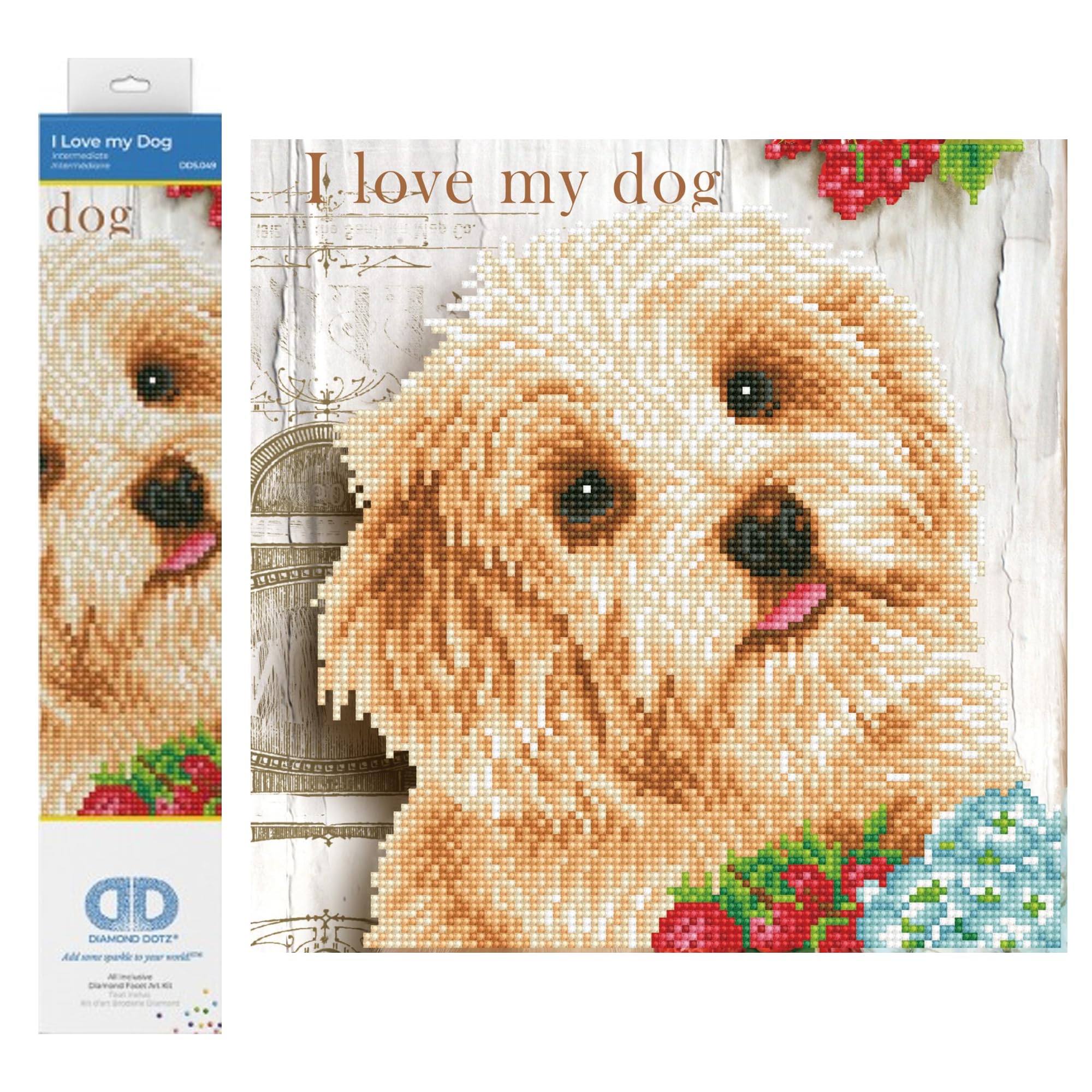 Diamond Dotz Painting Kit, Intermediate Kit, DD5