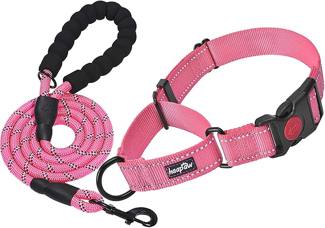 quick release martingale dog collar