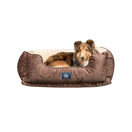 orthopedic cuddler dog bed