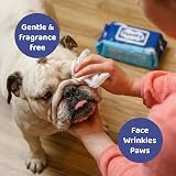 Floofs Bamboo Dog Wipes 100 Count 15x20cm 50gsm Hypoallergenic view 4