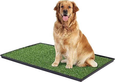 large dog potty