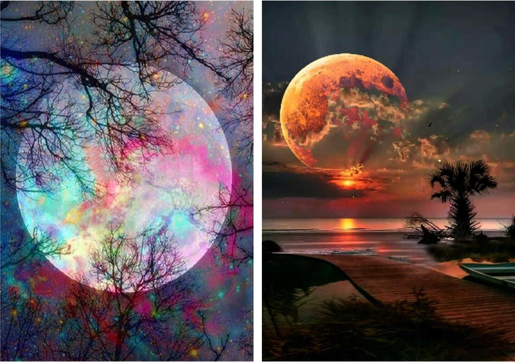 DIY 5D Diamond Painting Kit, Round Full Drill Crystal Rhinestone Embroidery Cross Stitch Arts Craft Canvas Supply for Home Wall Decor Adults and Kids (L-2PCS)