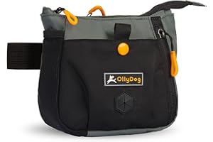 OllyDog Backcountry Day Bag | Hands-Free Dog Training Treat Pouch | Fanny/Hip Pack with Zipper Closure & Built-in Poop Bag Dispenser | Removable Waist Clip (Juniper)