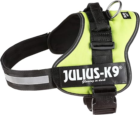 Arnés Julius-K9, Talla 1, L, 66-85 cm, Verde Lima: Amazon.es ...