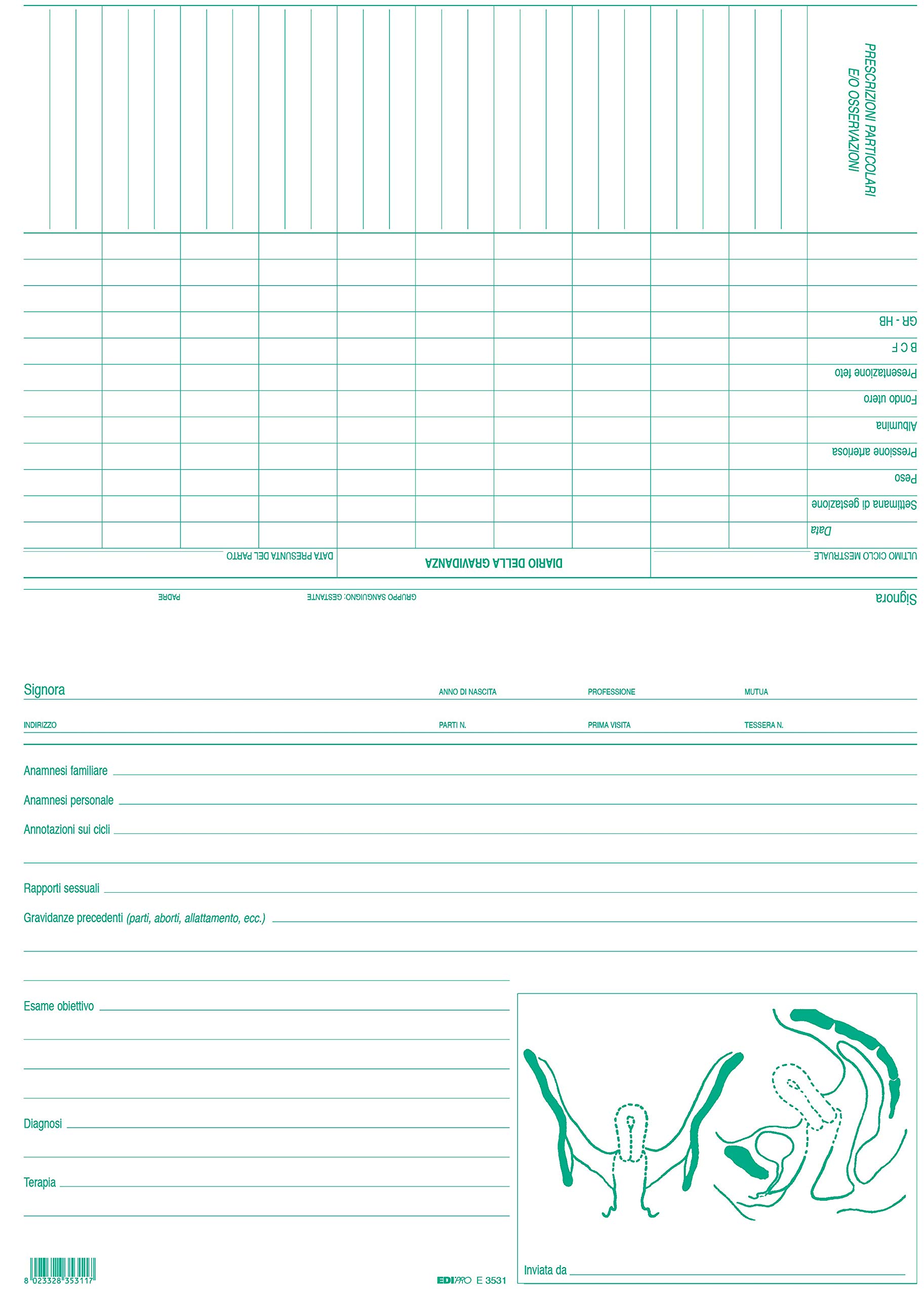 EDIPRO - E3531-50 Double Gynecologists Cards (Green Color) f.to 29,7x21