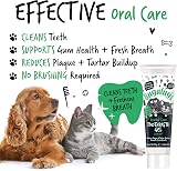 BUGALUGS Dental Care Kit for Dogs & Cats with Toothpaste & Brushes view 8