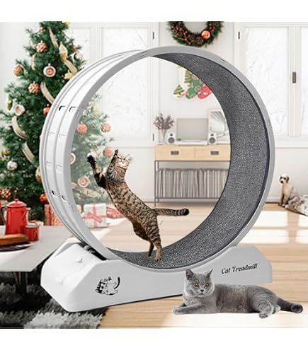 Rueda De Ejercicio Para Gatos VEVOR - Hasta 30 Lbs, Con Podómetro, Silenciosa, Alfombra Extraíble