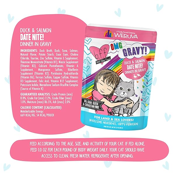 WERUVA B.F.F. OMG – BEST FELINE FRIEND OH MY GRAVY!, DATE NITE! WITH DUCK & SALMON IN GRAVY CAT FOOD, 2.8OZ POUCH (PACK OF 12)