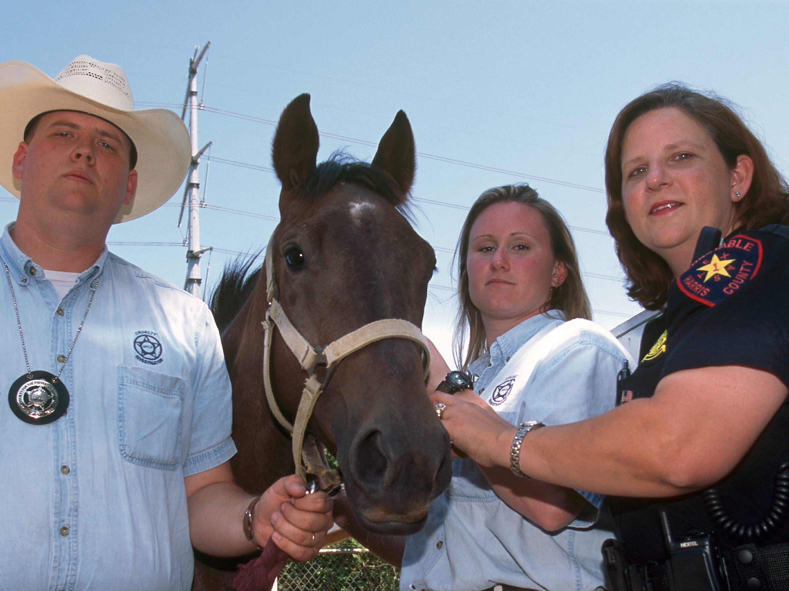 Watch Animal Cops Houston Season 4 Prime Video