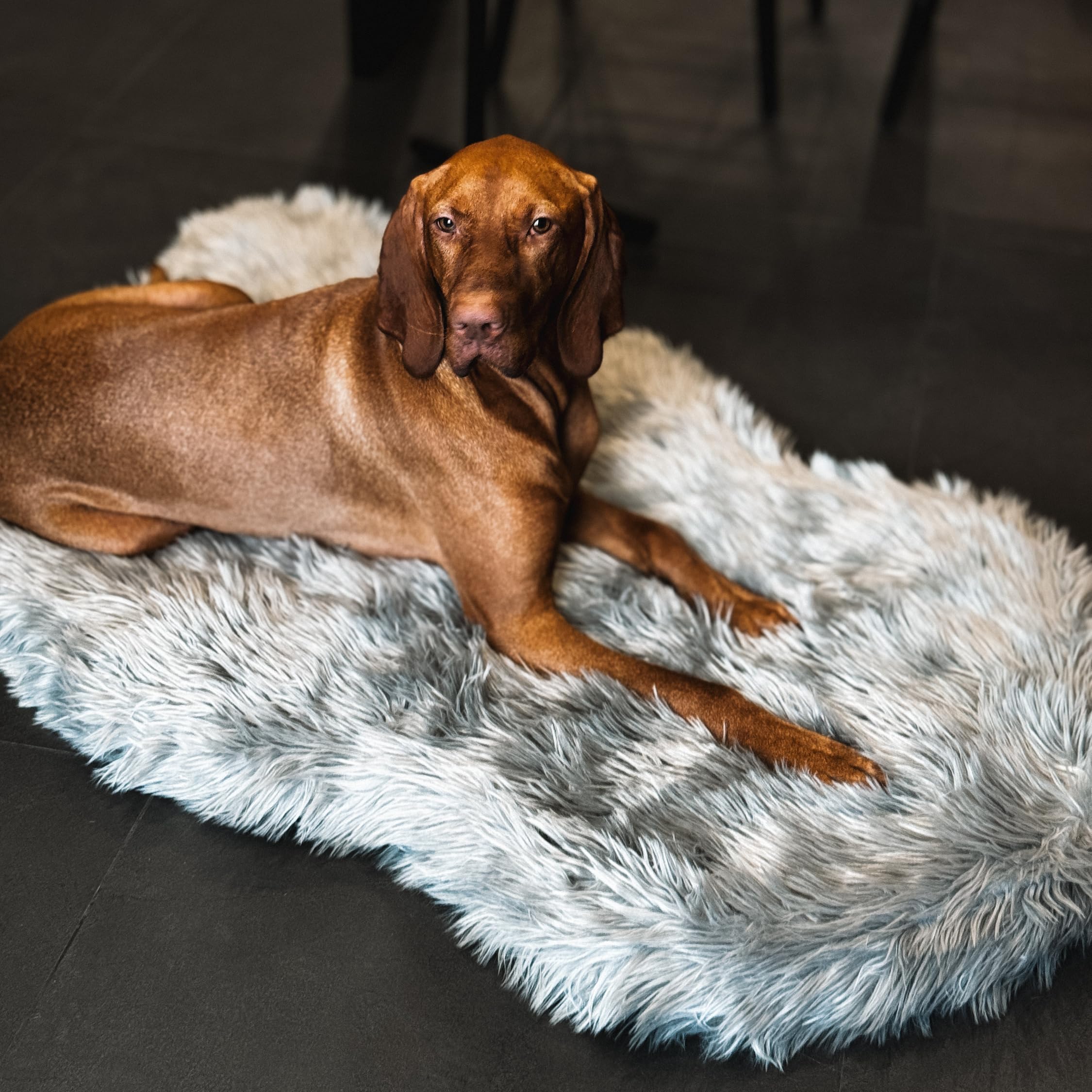 View 1 of *Missing peices/*only liner* IHAPPYDOG Luxury Faux Fur Orthopedic Dog Bed, Memory Foam Dog Bed? for? Small, Medium, Large and XL Pets, Fluffy Pet Bed with Waterproof ?and ?Washable Cover (Grey, 50"x30")