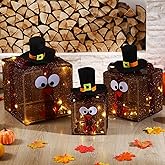 Epakh 3 Pack Lighted Turkey Outdoor Decor Thanksgiving Turkey Glowing Gift Box Glittering Thanksgiving Gift with Bow 60 LED Lights Present Boxes Decoration for Home Indoor and Outdoor Decor