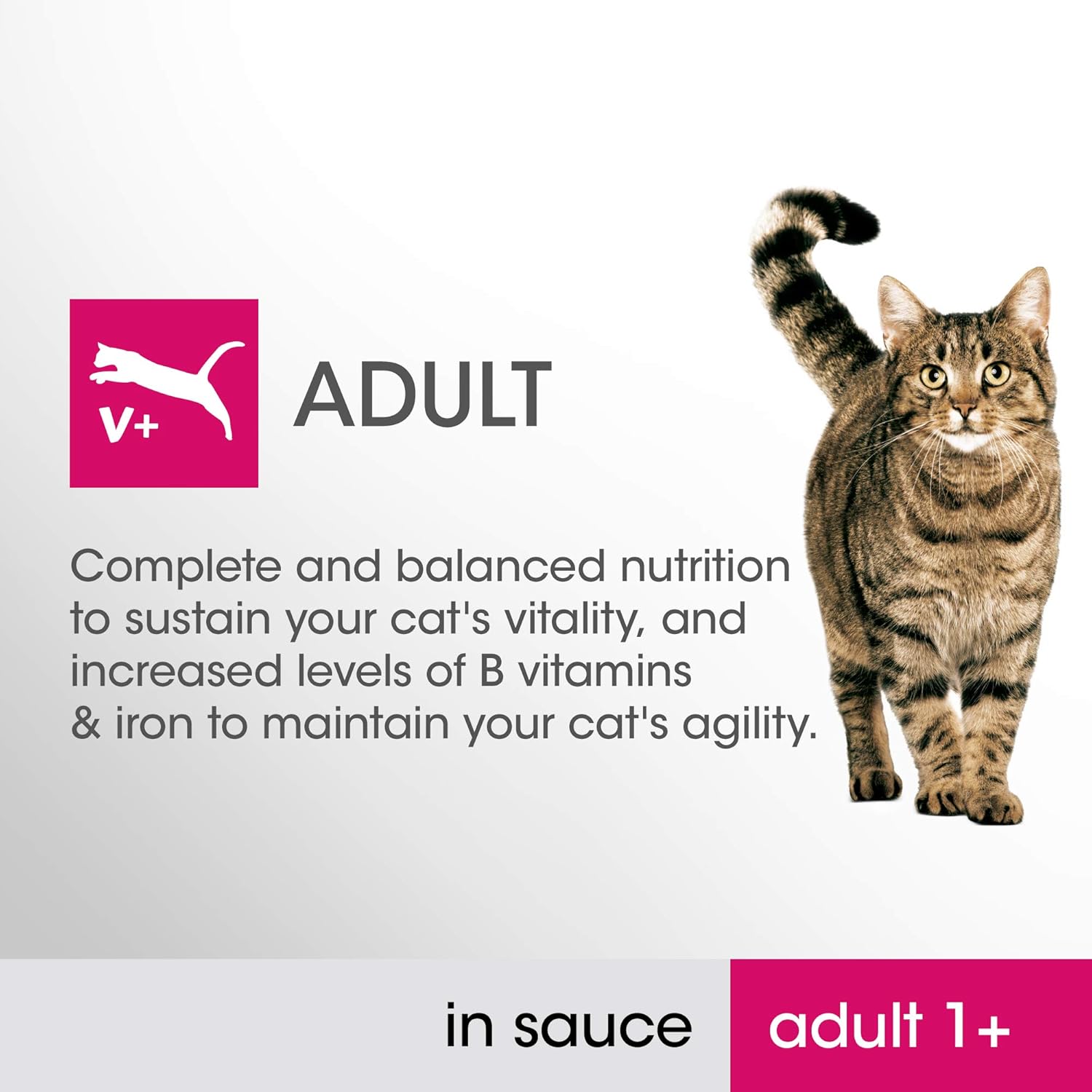 Perfect Fit 1+ Adult Mixed Selection in Sauce 48 Pouches, Complete Premium Wet Cat Food, Pack of 4 (12 x 85 g) - Image 4