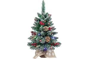 BIFKXD Little Christmas Tree Prelit 24 Inch Mini Christmas Tree for Desktop Decorating - Luxury Christmas Tree with Light| 4 Colors and 8 Modes String Light| Wooden Base and Picture Cloth Bag Wrapped Up