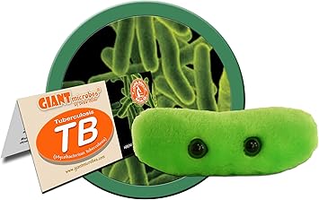 puppies and christmas