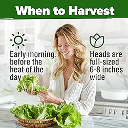 HOME GROWN
