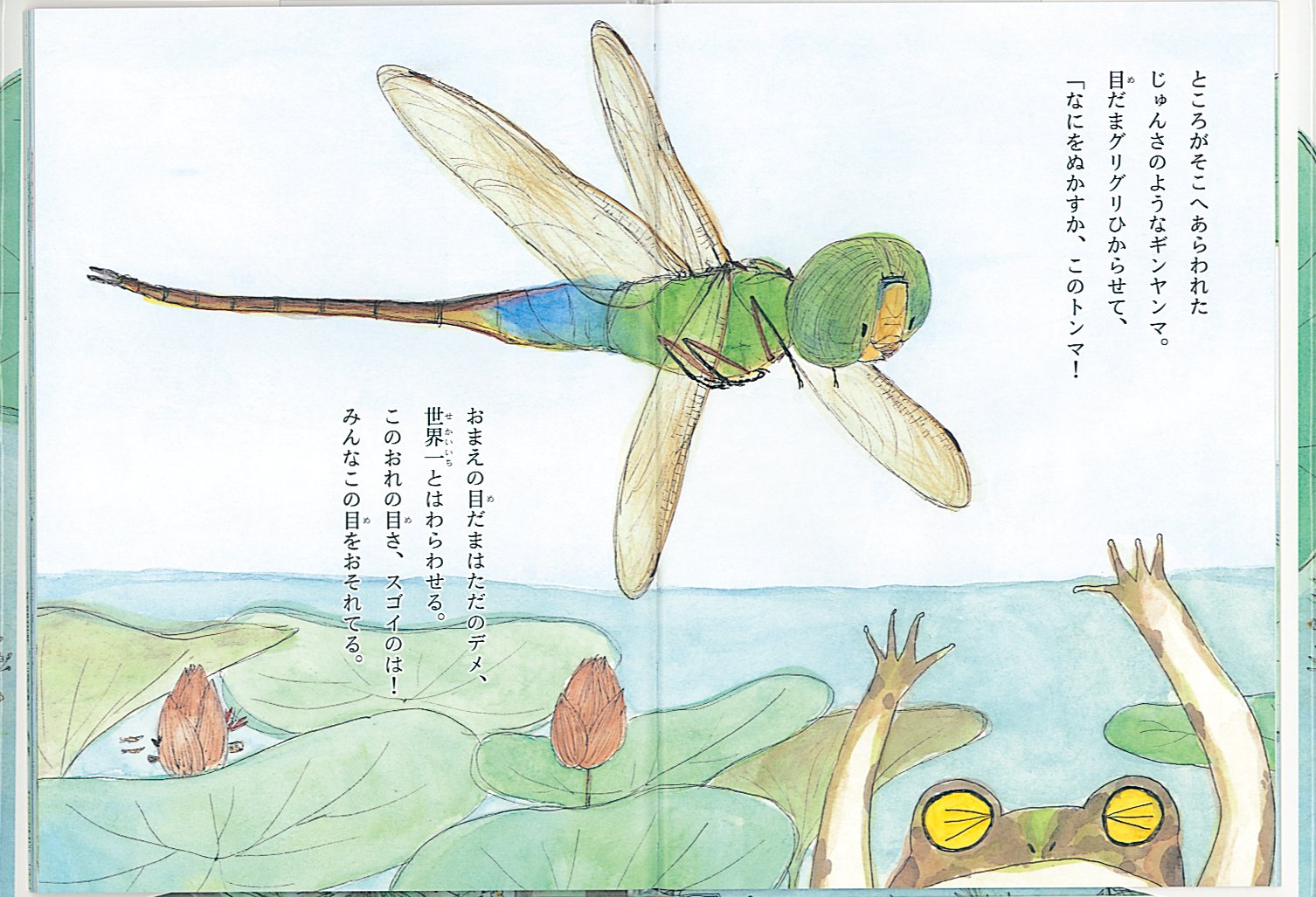 カエルの目だま 福音館の単行本 日高敏隆 大野八生 本 通販 Amazon
