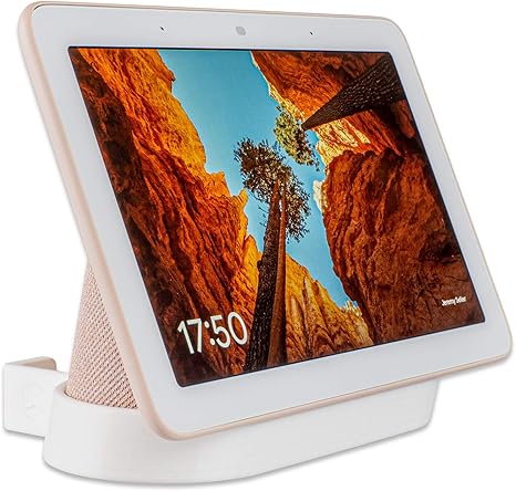 google hub white