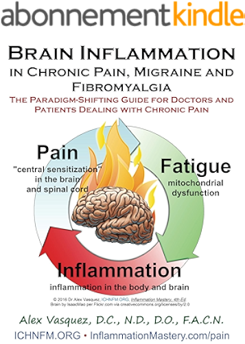 Download Brain Inflammation in Chronic Pain, Migraine and Fibromyalgia: The Paradigm-Shifting Guide for Doctors and Patients Dealing with Chronic Pain (Inflammation ... & Functional Inflammology) (English Edition) PDF