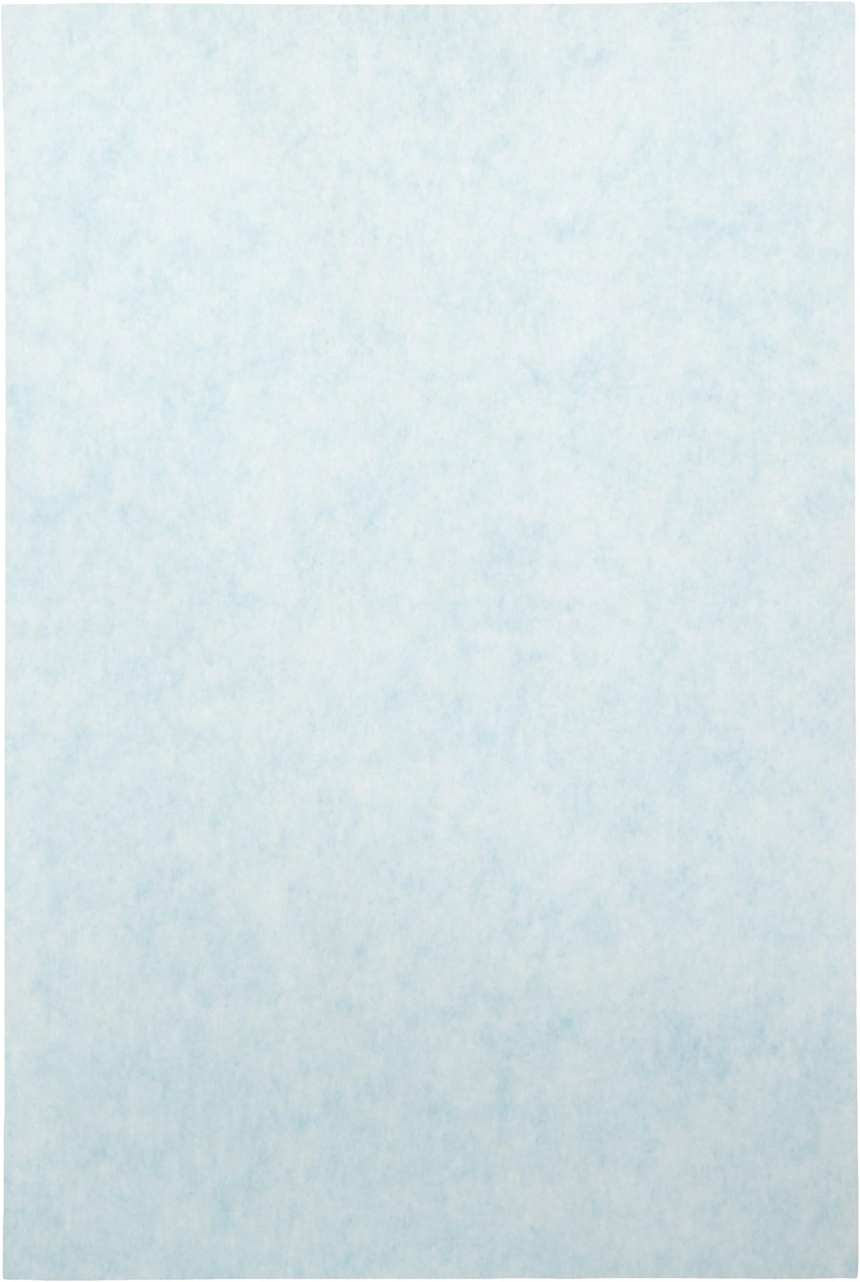 GVS Life Sciences 1212643 Polyvinylidene Fluoride Plus Transfer Membrane Sheet, 0.45 micron Pore Size, 100mm Width, 150mm Length (Pack of 10)