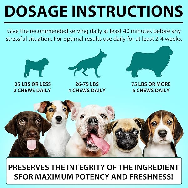 HEMP CALMING CHEWS FOR DOGS, 150 CHEWS PREMIUM DOG CALMING TREATS WITH HEMP OIL – ANXIETY, SEPARATION, BARKING, STRESS RELIEF, MELATONIN FOR DOGS, SLEEP CALMING AID FOR ALL AGES, BREEDS & SIZE