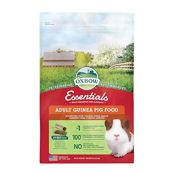 OXBOW ESSENTIALS GUINEA PIG FOOD, ADULT GUINEA PIG, MADE WITH OXBOW TIMOTHY HAY, PET FOOD PELLETS WITH VITAMIN C, SMALL ANIMAL PET PRODUCTS, MADE IN USA, HIGH FIBER, 5 LB. BAG