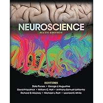 Neuroscience: 9781605353807: Medicine & Health Science Books 