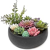 Nattol 8 Inch Round Modern Artificial Succulent Plant Arrangement, Assorted Fake Plants in Black Concrete Planter Bowl for Home Decoration