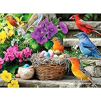 Amazon.com: 300 Pieces Jigsaw Puzzles for Adults–Morning