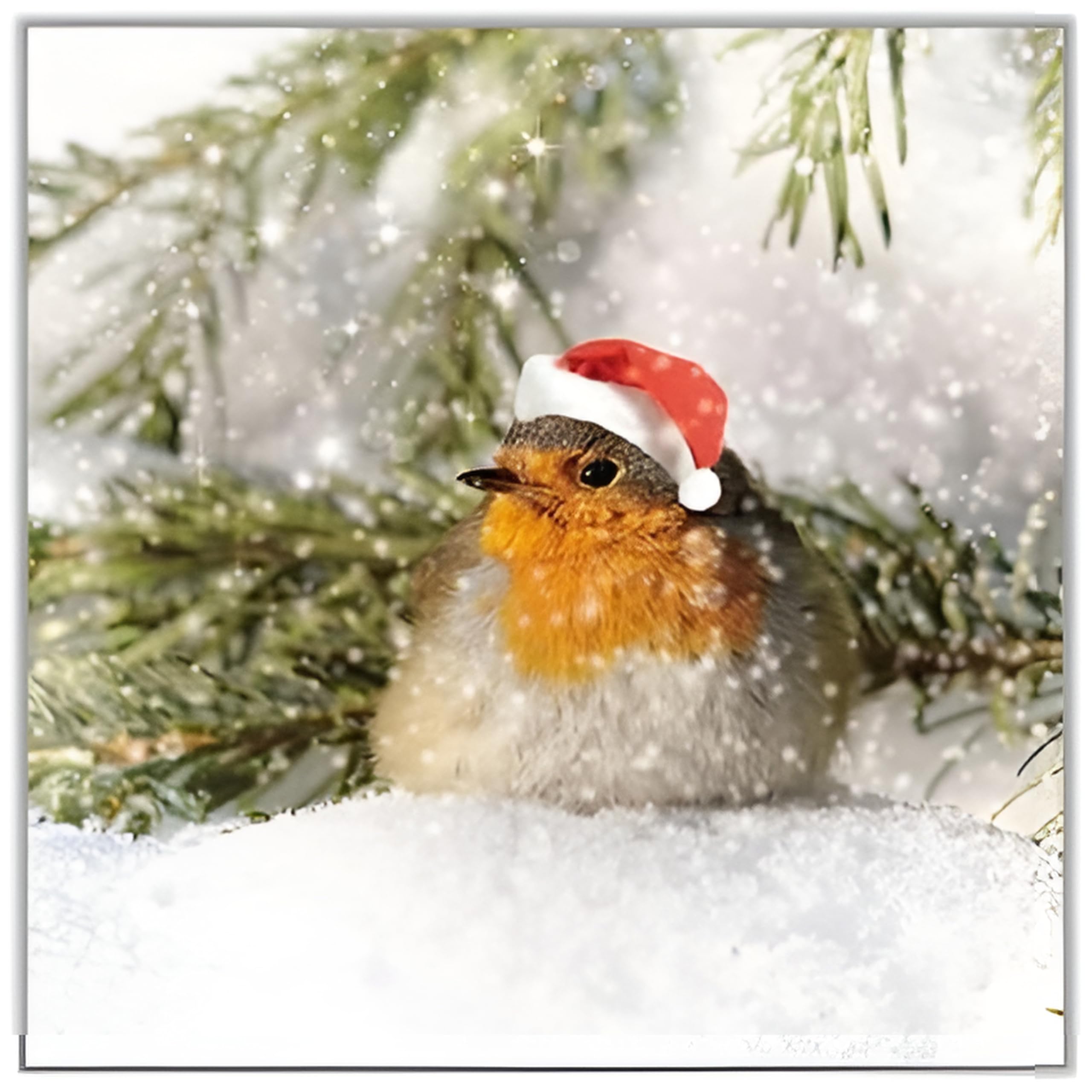 GBCC Charity Christmas Cards Pack of 6 - Charity Christmas Cards with a Snowy Santa Robin Design - Eco-Friendly Xmas Cards Multipack with Envelopes