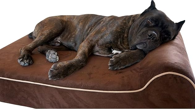 Bully beds Orthopedic Memory Foam Dog 