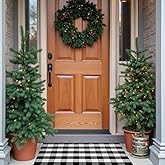 Buffalo Plaid Area Rug, Checkered Rug 27.5x43 Inches, Black and White Rug, Washable Cotton Mat for Front Porch, Entryway, Kitchen, Living Room, Home Decor