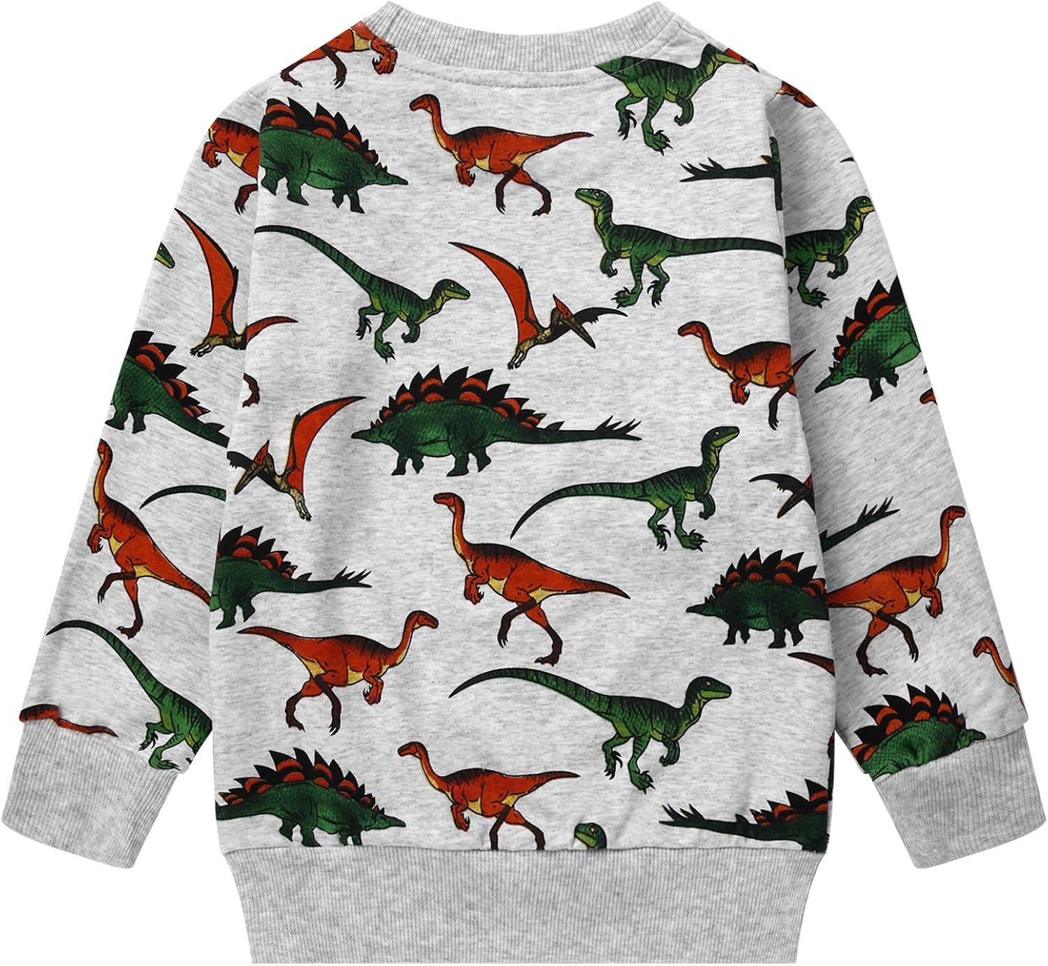 Toddler Boys Dinosaur Sweatshirts Cartoon Winter Long Sleeve Kids Sport Outdoor Pullover Tops Tees 2T-8T: Clothing