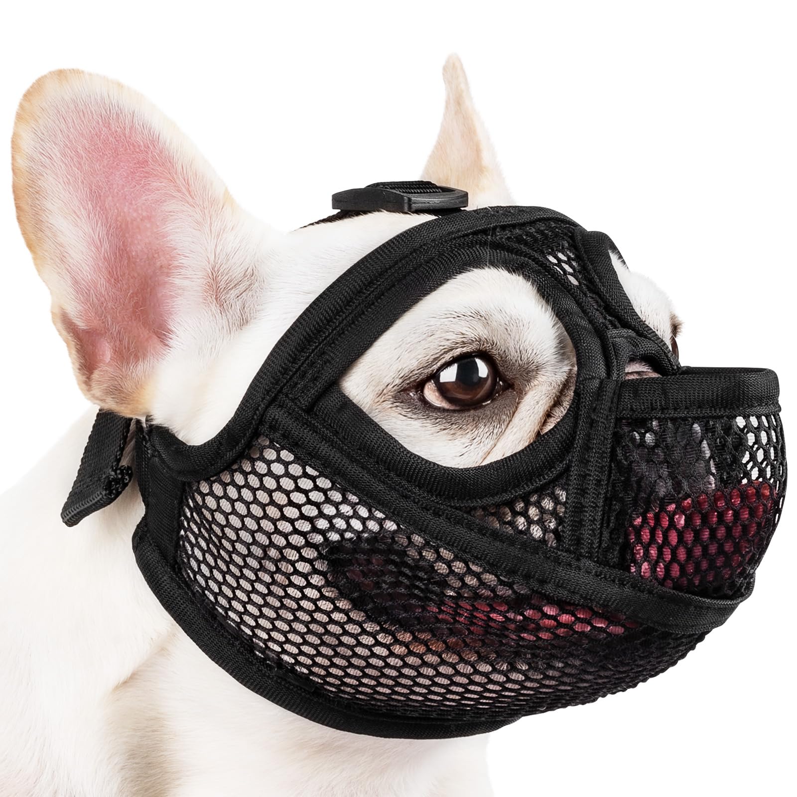 Photo 1 of Mayerzon French Bulldog Muzzle, Full Pant Mesh Short Snout Muzzle for Flat-Faced Dogs Shih Tzu Pug English Bulldog for Grooming Vet Visit, Allows to Drink, Prevent Biting Eating