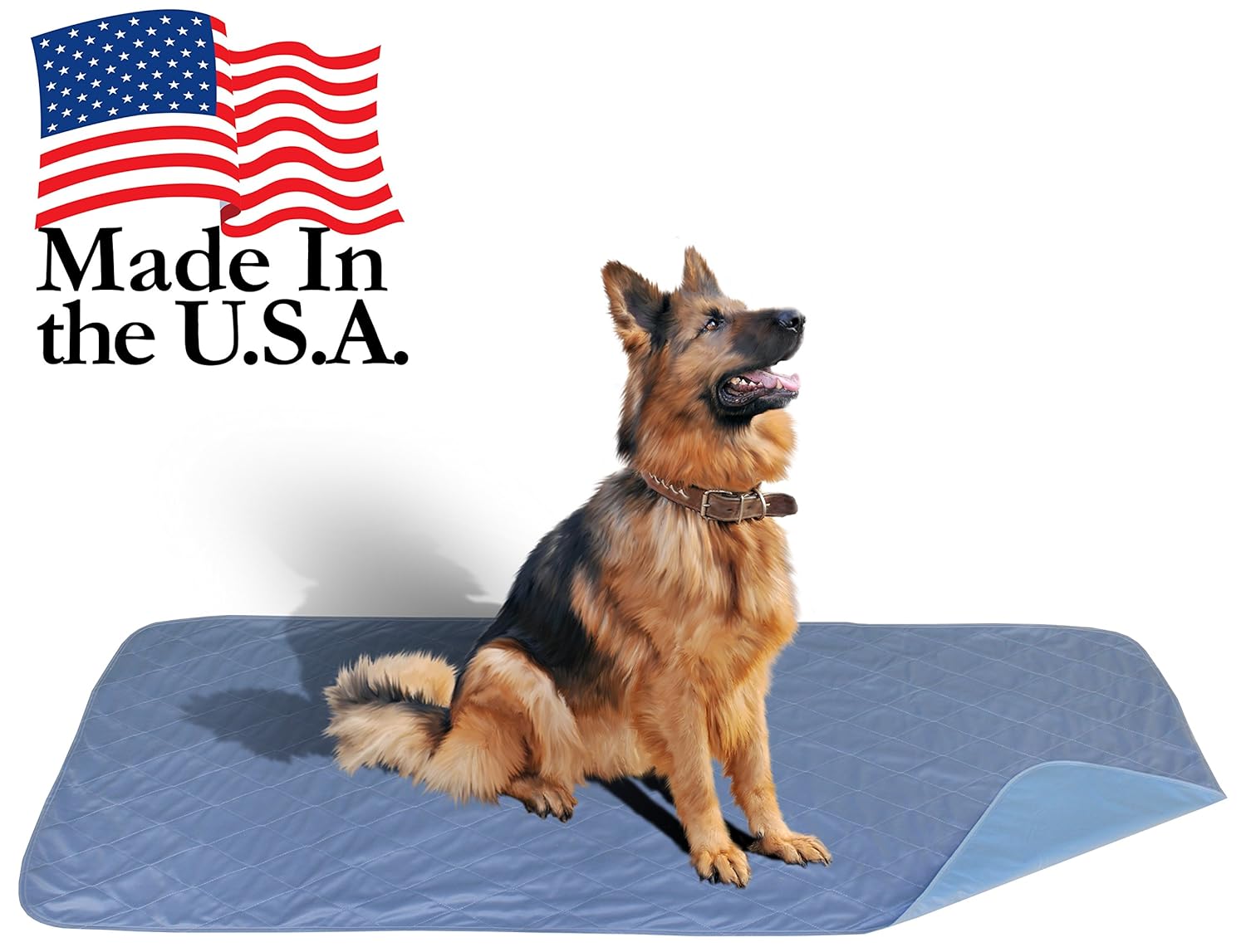 Best dog pee repellent carpet