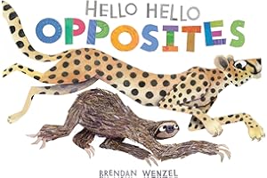 Hello Hello Opposites (Brendan Wenzel)