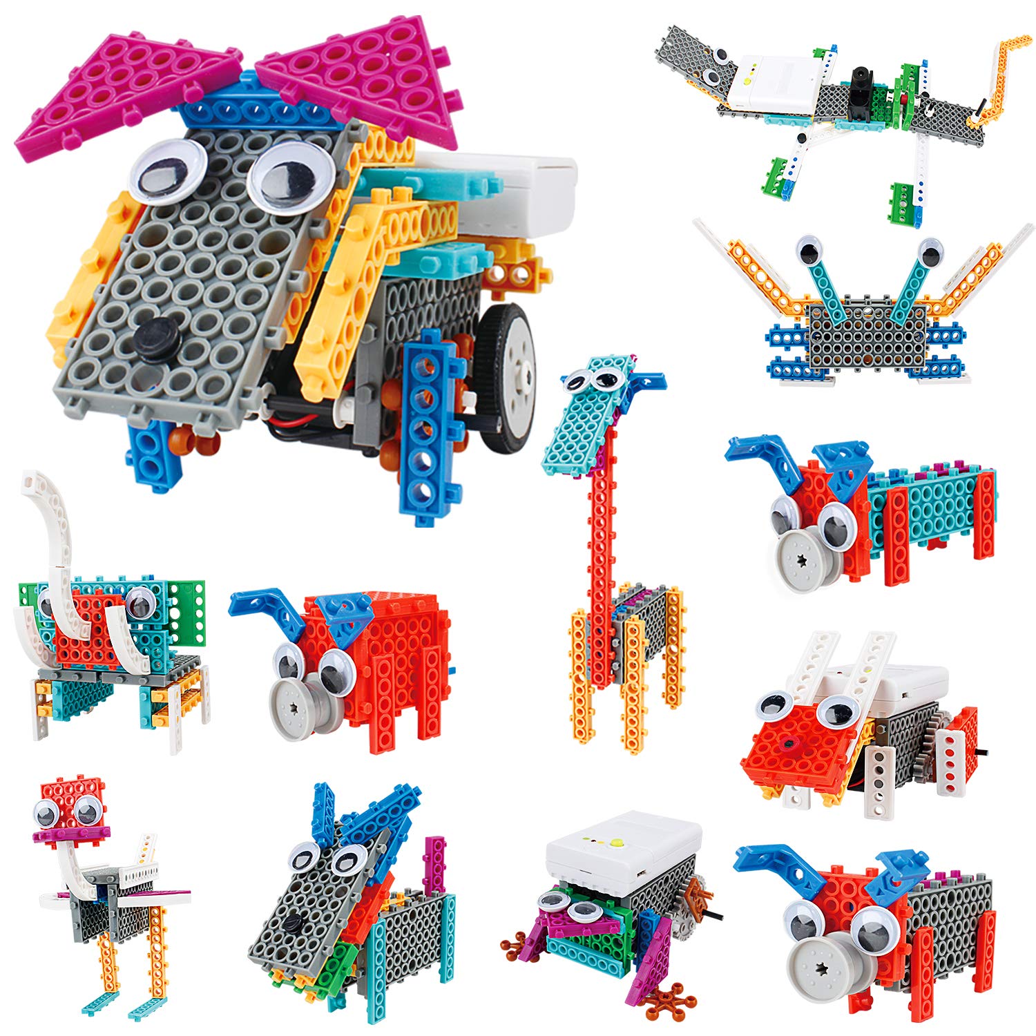 Which Is The Best Building Animals