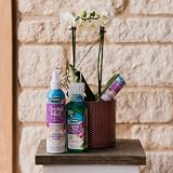 Westland Potting Compost Mix with Seramis 4L for Healthy Orchids view 4
