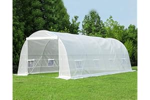 EROMMY 20' x 10' x 7' Greenhouse Large Gardening Plant Hot House Portable Walking in Tunnel Tent, Green House for Outside Winter Heavy-Duty with Reinforced Frame & 8 Screen Windows, White