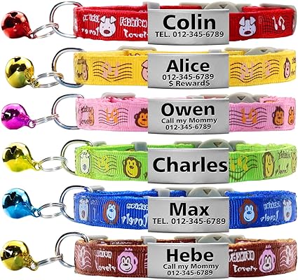Vcalabashor Collier De Chat Personnalisé Avec Nom Et Numéro De Téléphoneplaque Signalétique En Acier Inoxydableétiquettes Didentification