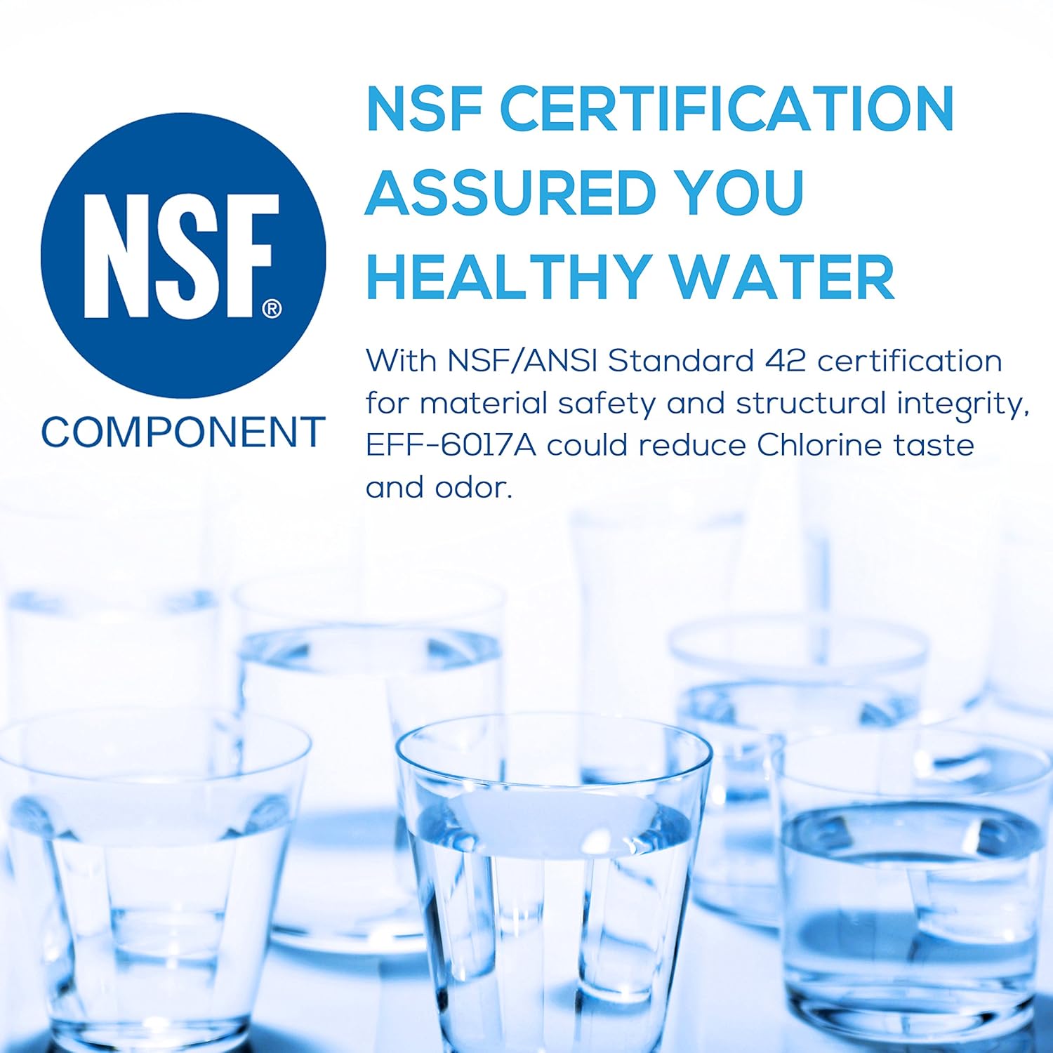 EcoAqua EFF-6017A - Filtro de repuesto para Fisher Paykel 836848 ...