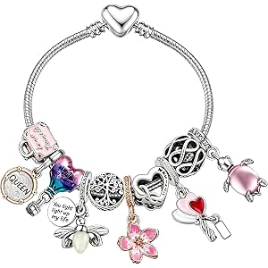 Karakara 10 Pack Silver Charms Compatible with Pandora-Style Bracelets and Necklaces Charms for Women CZ Pendant Jewelry Char