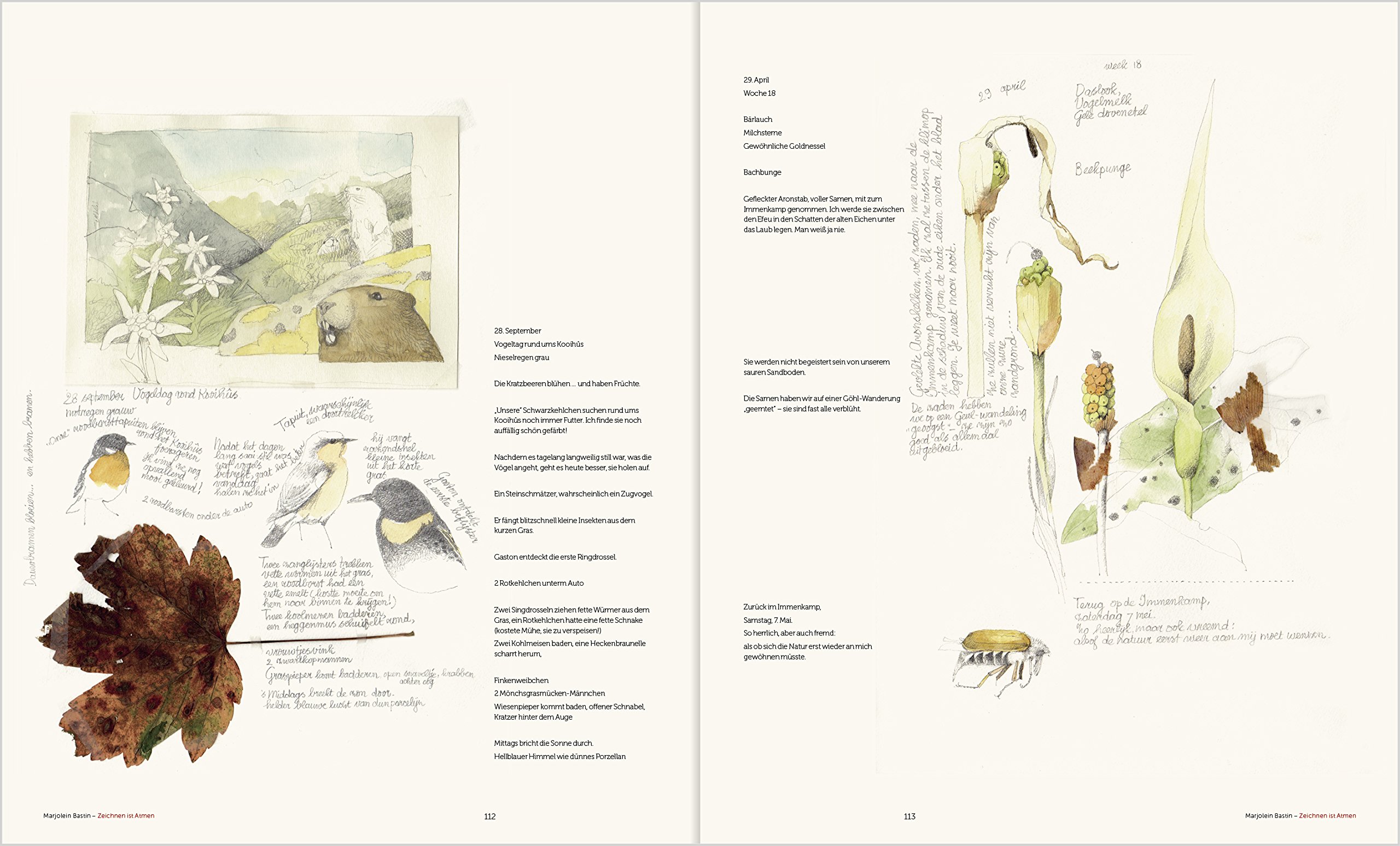 Marjolein Bastin Zeichnen Ist Atmen Anneke Muller Amazon De Bucher