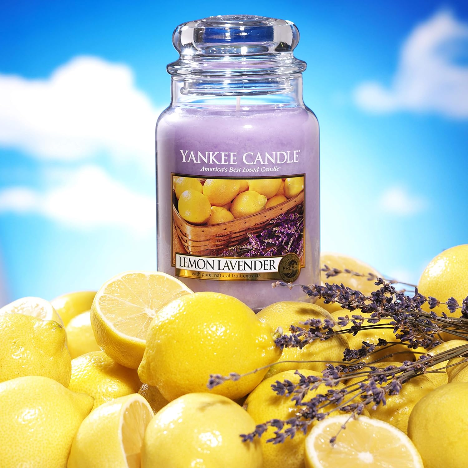 Yankee Candle 1073481EZ Large Jar Candle Lemon Lavender: Home & Kitchen