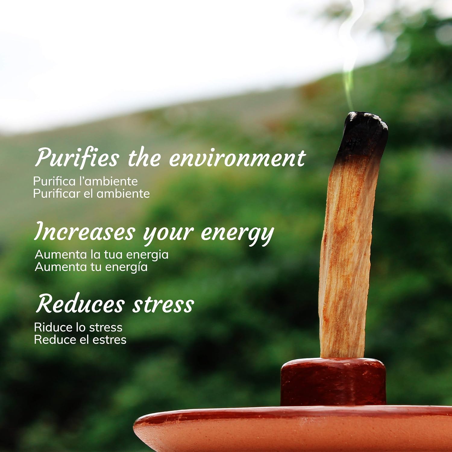 PALOSANTO, Palo Santo Sticks Popular Ayabaca from Peru, 13 Wood Sticks 10cm, Natural Incense for Stress Relief and Meditation - Image 4