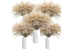Uieke 500Pcs Natural Dried Pampas Grass Plume 17inch Tall Dried Flowers Bulk Reed Dried Plants for Wedding Flower Arrangements Farmhouse Wreath Door Centerpiece Home Décor Brown