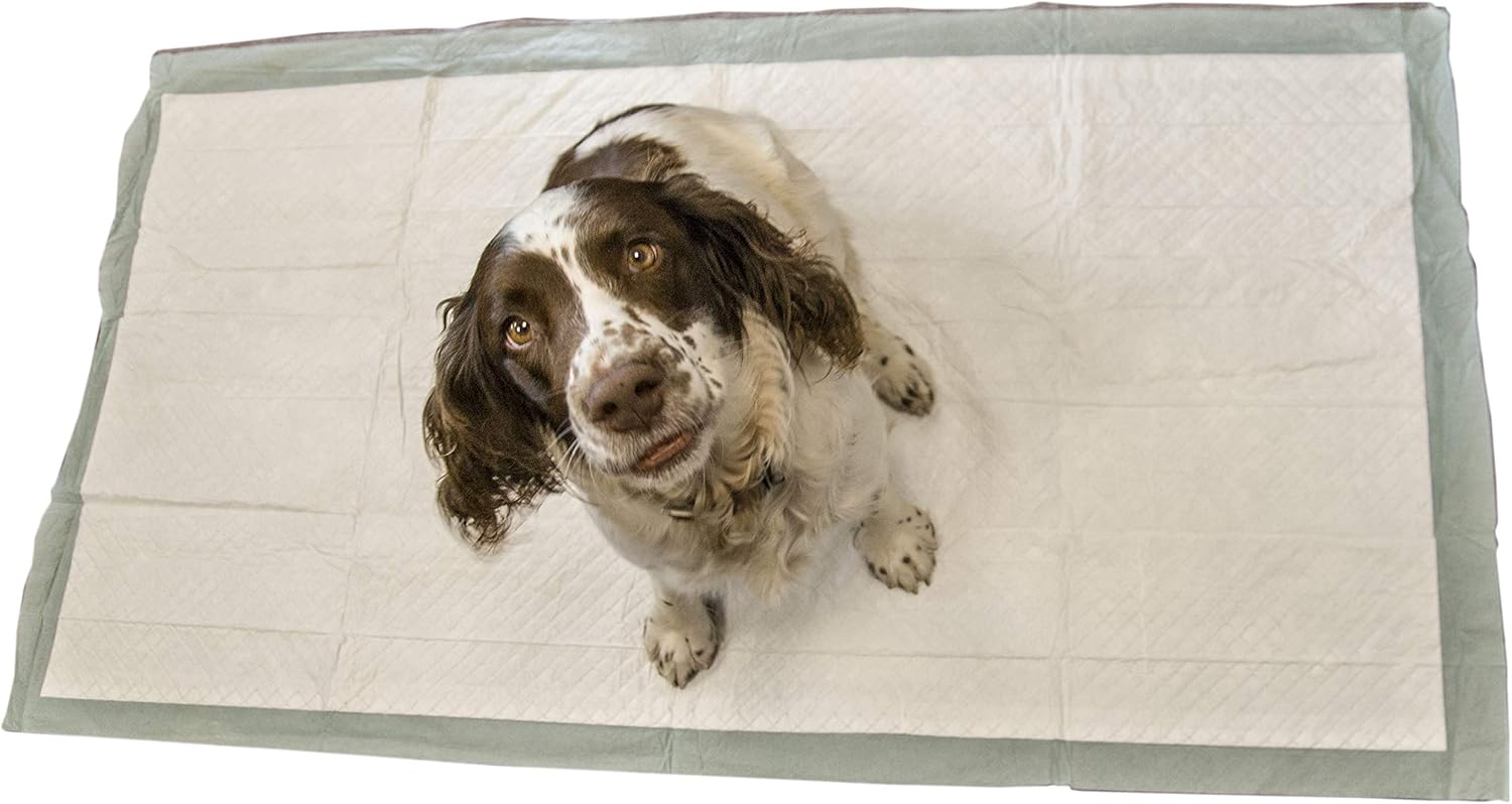 Extra large dog toilet training pads 150 x 80 cm 2300 ml - Super absorbent pet incontinence pads pack of 20 by Speedwellstar